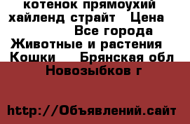 котенок прямоухий  хайленд страйт › Цена ­ 10 000 - Все города Животные и растения » Кошки   . Брянская обл.,Новозыбков г.